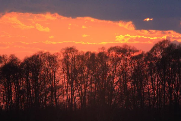 Dark sunset with crimson clouds — Stock Photo, Image