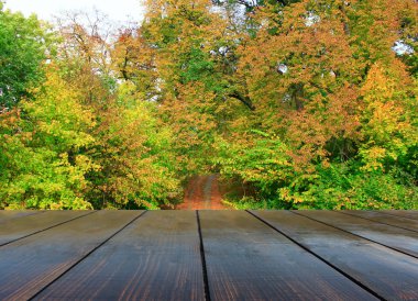 park yolu manzaralı ahşap panoları