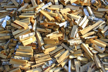 hazırlanan ateşe odun yığını