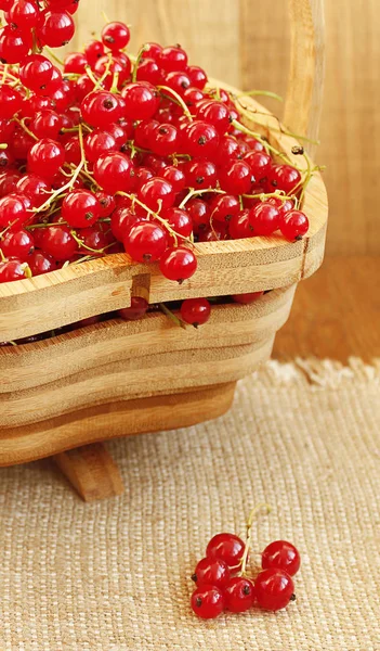 Red currant on the wooden vase — Stock Photo, Image