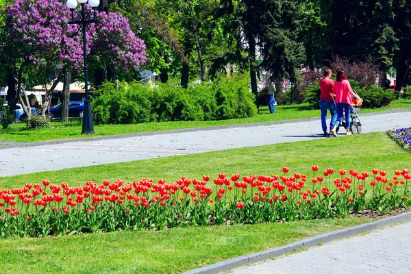 Люди отдыхают в городском парке с тюльпанами — стоковое фото