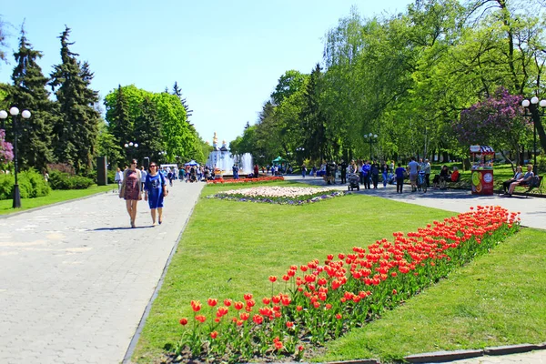 Люди отдыхают в городском парке с тюльпанами — стоковое фото