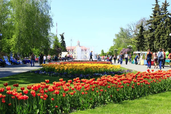 Ludzie mają odpoczynku w parku miejskiego z tulipany — Zdjęcie stockowe