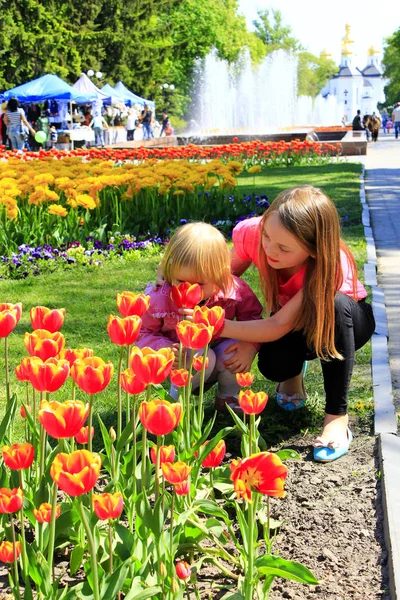 Irmã ensina o mais jovem a cheirar tulipas no canteiro da cidade — Fotografia de Stock