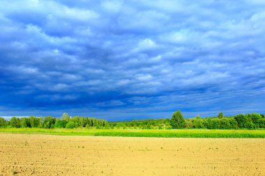 karanlık görebilsin bulutların altında orman ile manzara