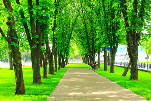 Camino en el parque de la ciudad con árboles verdes — Foto de Stock