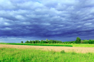 karanlık görebilsin bulutların altında orman ile manzara