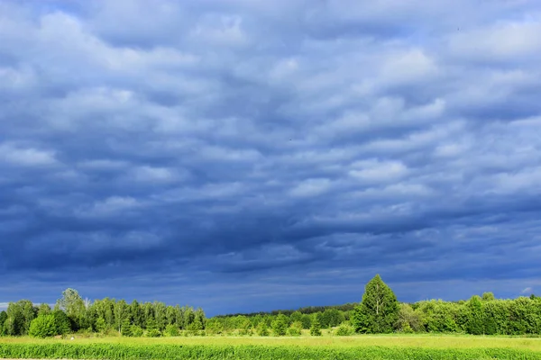Краєвид з темними дощовими хмарами під лісом — стокове фото