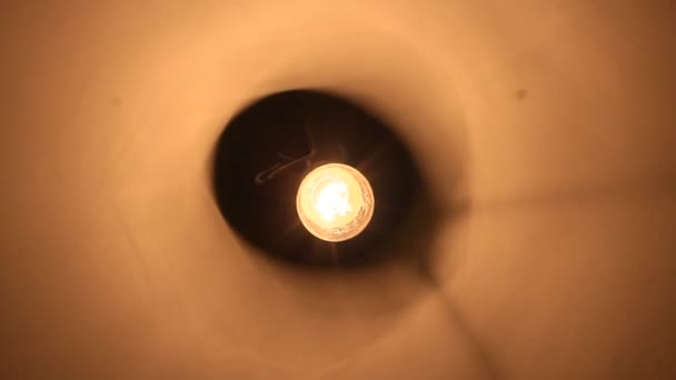 L'insecte vole autour de la lampe électrique — Video