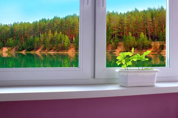 젊은 오크 숲의 호수를 내려다 보이는 창 창틀에 — 스톡 사진