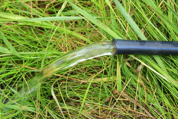 El agua corre desde la manguera hasta la hierba verde —  Fotos de Stock