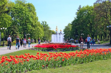 İnsanlar büyük ağaçlar ve çeşmeler ile parkta yürüyüş