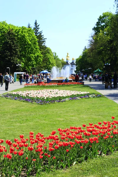 Les gens marchent dans le parc avec de grands arbres et des fontaines — Photo