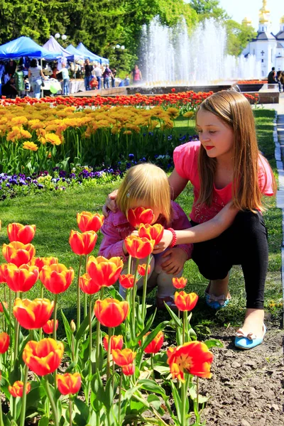 A irmã mais velha ensina o mais jovem a cheirar tulipas — Fotografia de Stock