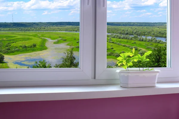 Plantas no vaso no peitoril da janela e vista para a paisagem — Fotografia de Stock