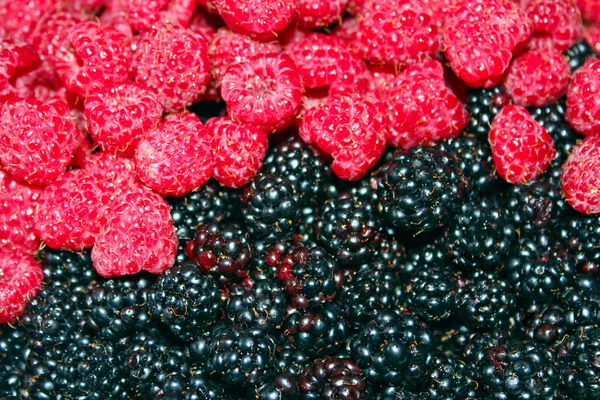 Blackberry and raspberry — Stock Photo, Image