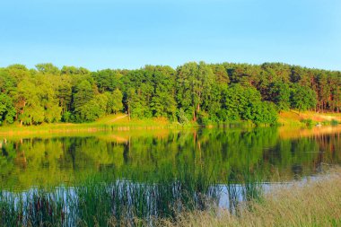 yaz manzara nehir ve orman ile akşam