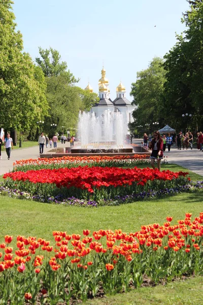 Городской парк с тюльпанами и фонтанами — стоковое фото