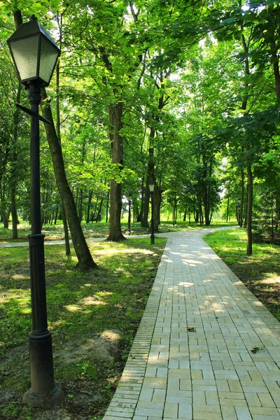 Парк с множеством зеленых деревьев и тропинкой — стоковое фото