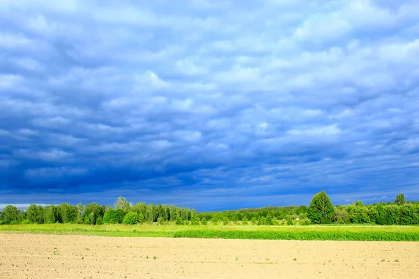 Ağaçların altında karanlık görebilsin bulutlar ile manzara