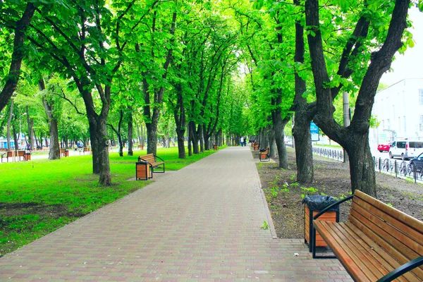 Городской парк со скамейками для прогулок и большими зелеными деревьями — стоковое фото