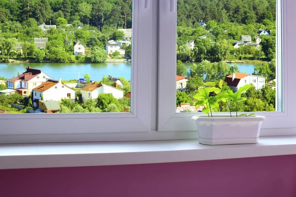 Genç bitkilerin çiçek-pot ve göl ile yeşil şehir görünümüne Oaks'da