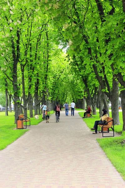Městský park s lavičkami cestu promenáda a velké zelené stromy — Stock fotografie
