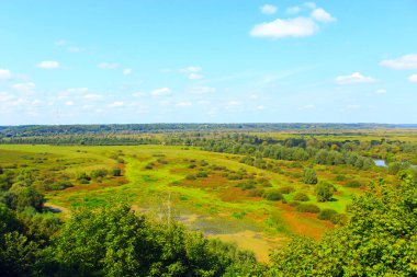 manzara bataklık çevresi ile Desna Nehri