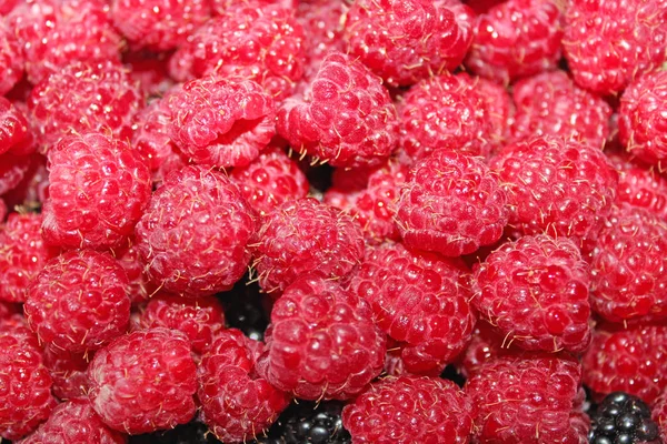 Raspberry in the heap — Stock Photo, Image