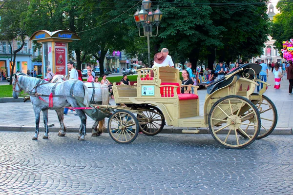 Carruagem passeio com dois cavalos aproveitados em Lviv — Fotografia de Stock