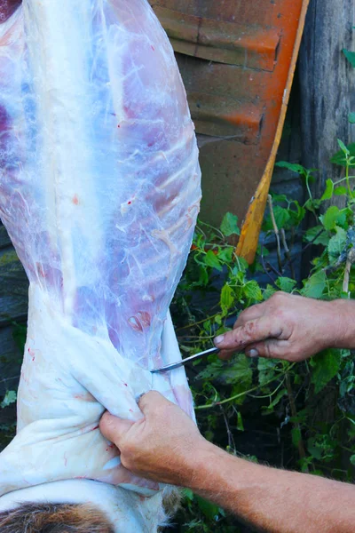 La persona corta la carne de la cabra — Foto de Stock