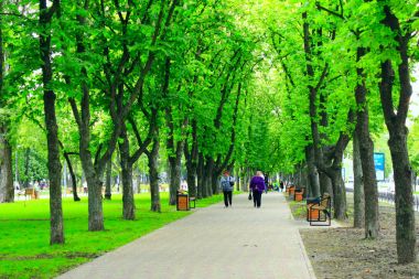 Büyük ağaçlar ile Bahar park