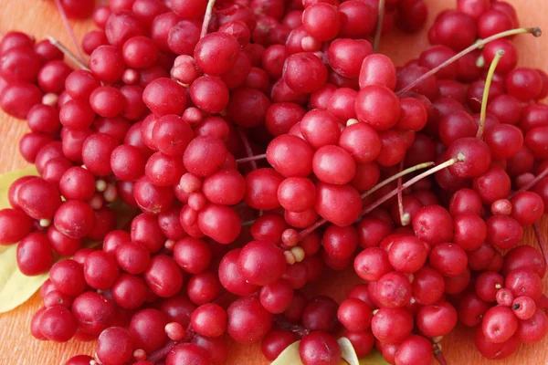 Heap of berries of schisandra — Stock Photo, Image