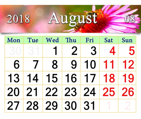 Kép a méh ül a aster naptár augusztus 2018 — Stock Fotó