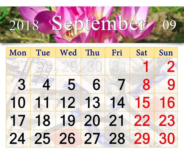 Calendar for September 2018 with pink flowers of colchicum autumnale — Stock Photo, Image