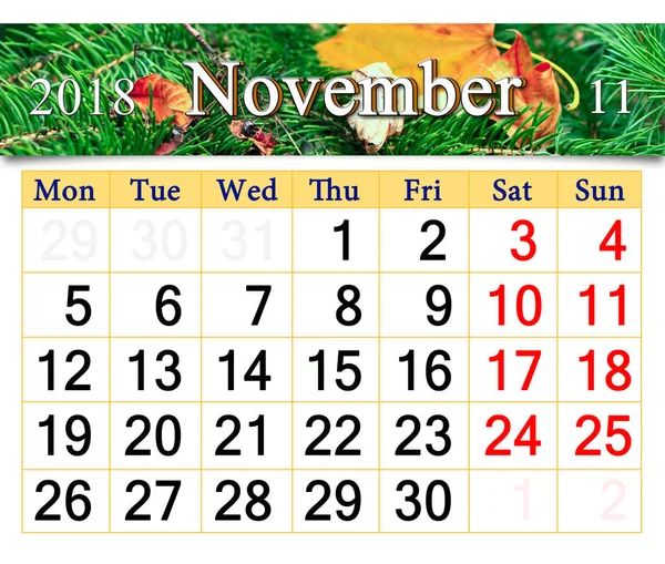 Kalendář na listopad roku 2016 s žlutým suchý list na jehličnaté smrk — Stock fotografie