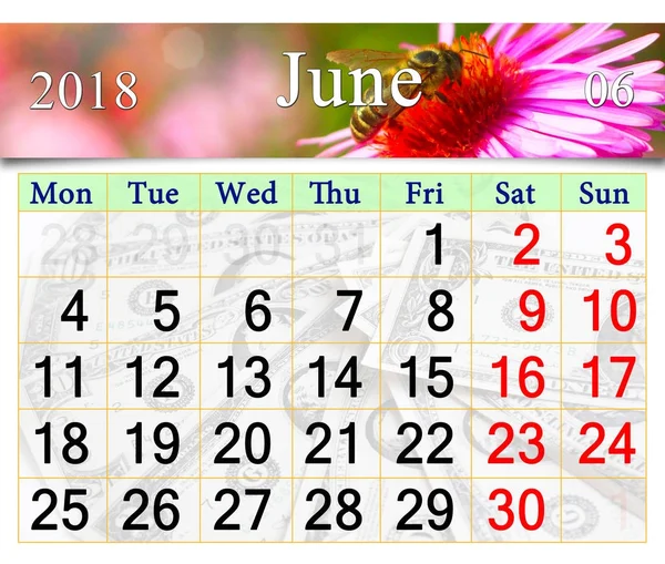 2018 年 6 月のカレンダーのアスターに座って蜂のイメージ — ストック写真