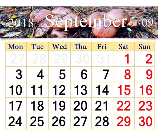 Calendar for September 2018 with mushrooms of Suillus — Stock Photo, Image