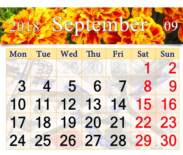 Calendario per settembre 2018 con calendule — Foto Stock