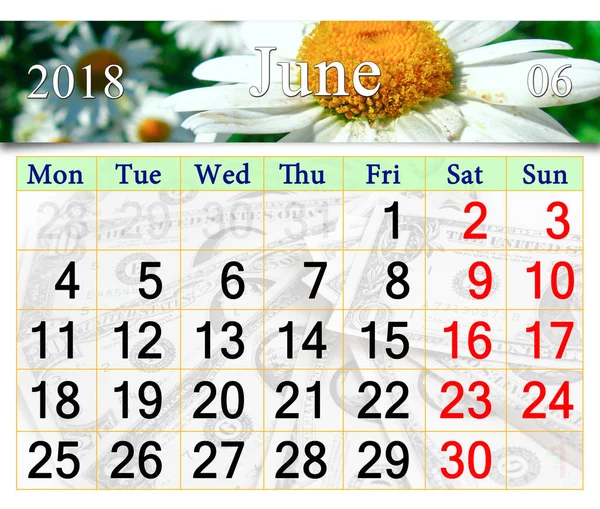 Kalendarz dla lipca 2018 z biedronką na białe rumianek — Zdjęcie stockowe