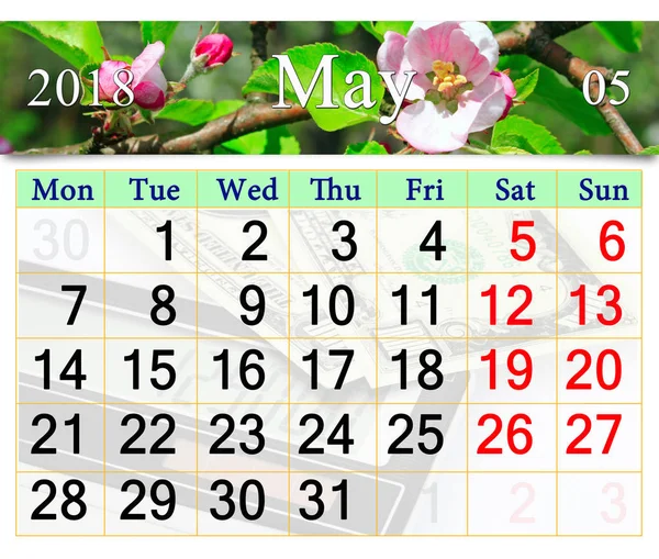 Календарь на май 2018 года с цветущей яблоней — стоковое фото