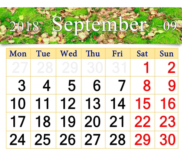 Calendar for September 2018 with the moss and leaves — Stock Photo, Image
