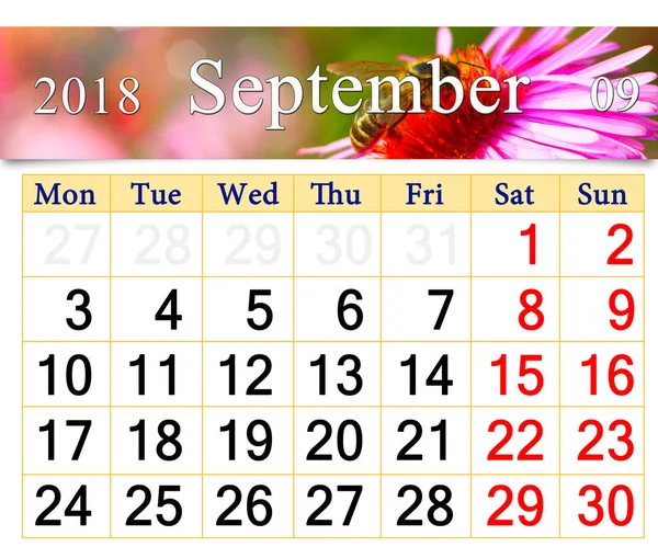 Календар на вересень 2018 року з рожевою айстрою та бджолою — стокове фото