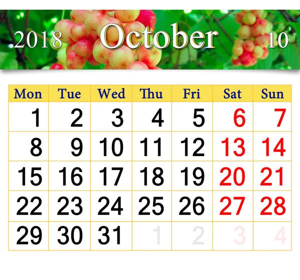 Kalender för oktober 2018 med gren av schisandra — Stockfoto