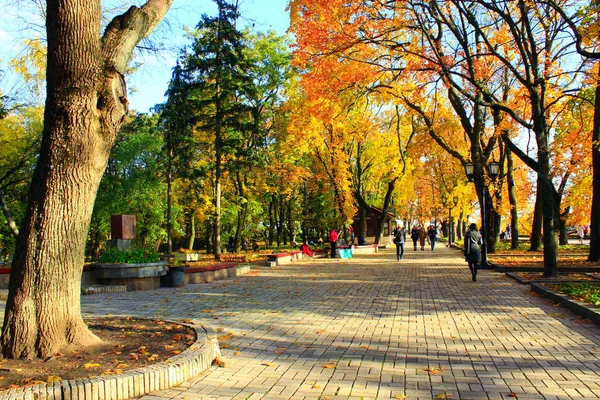 Jesienny park z promenady ścieżki i wielkie drzewa — Zdjęcie stockowe