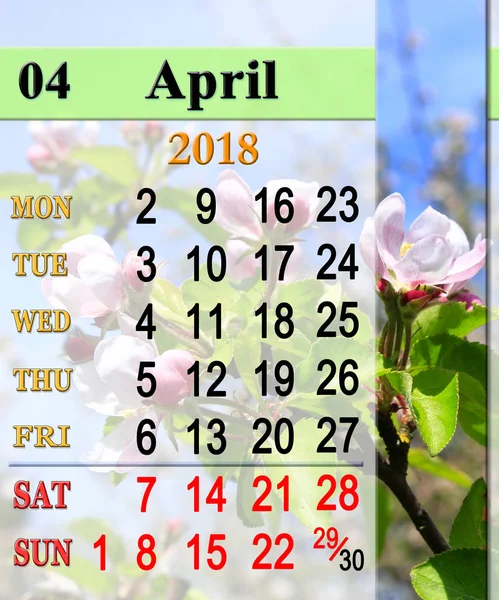 Calendrier pour avril 2018 avec pommier en fleurs — Photo