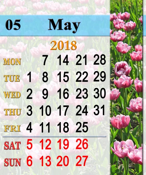 Calendario de mayo 2018 con tulipanes lila — Foto de Stock