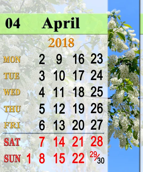 Calendar for April 2018 with image of bird cherry tree — Stock Photo, Image