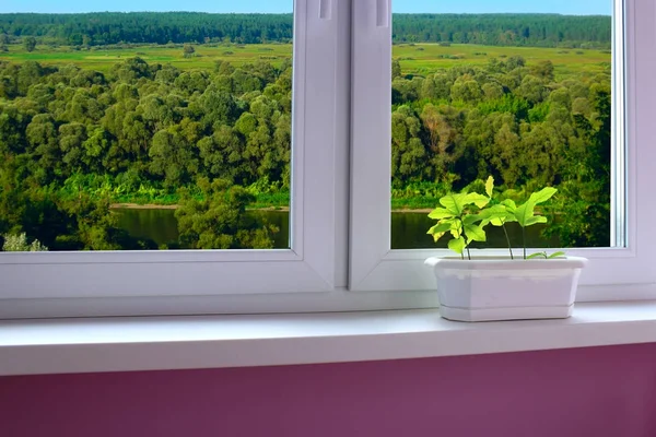 창틀 및 강 풍경 보기에 냄비에 식물 — 스톡 사진