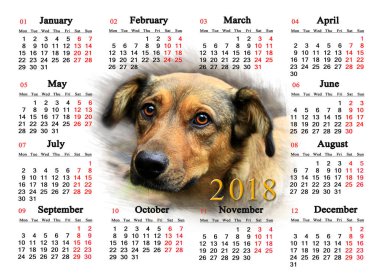 2018 ile güzel köpek için takvim